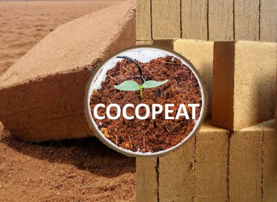 Cocopeat