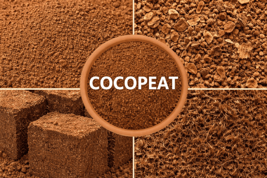 Cocopeat